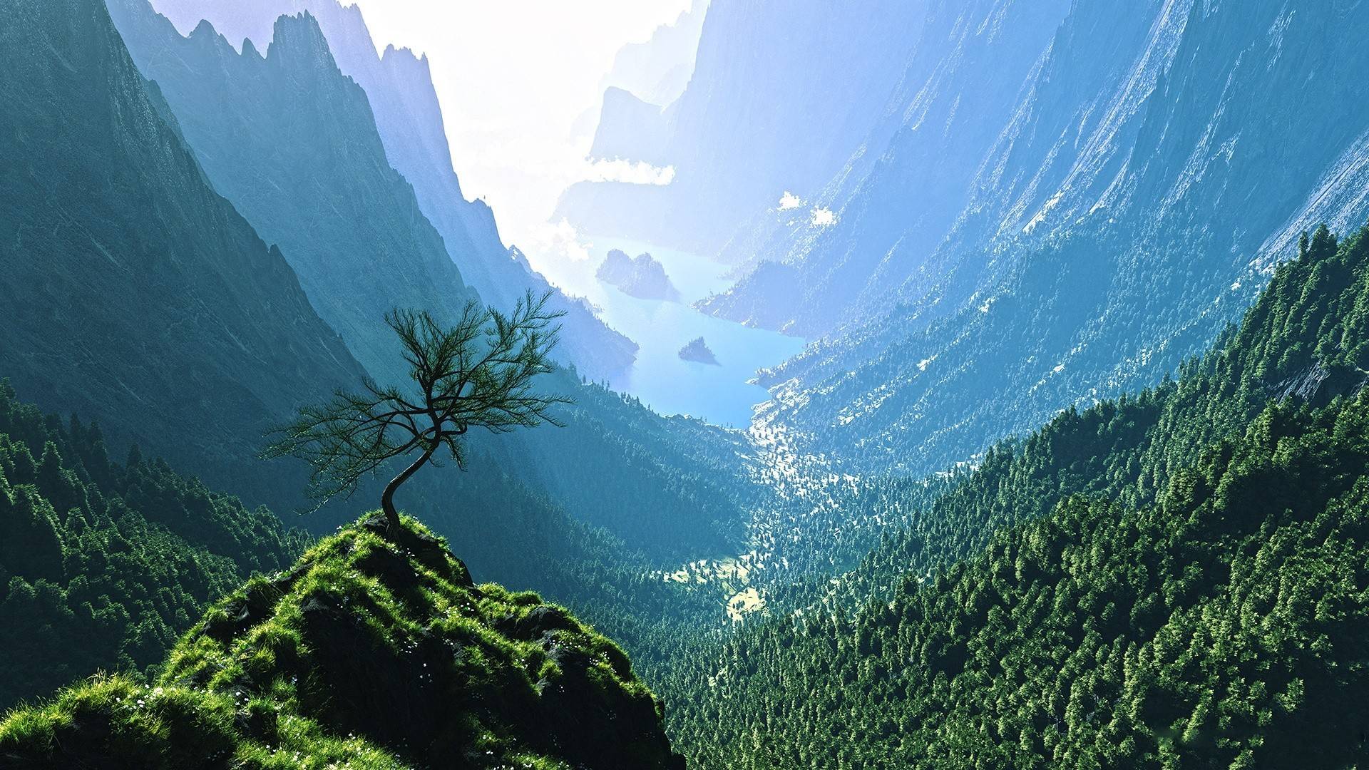 风景
