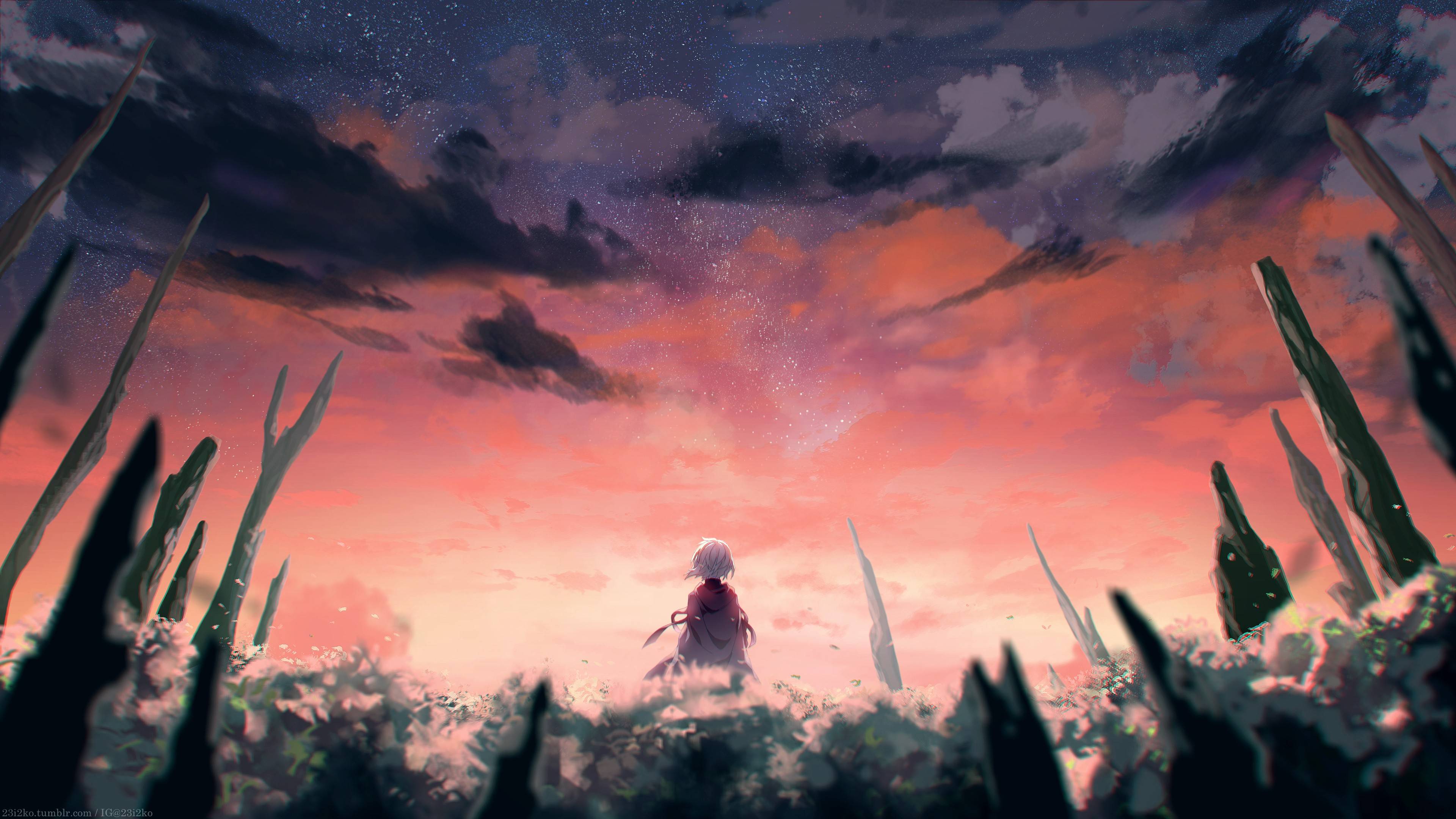 风景