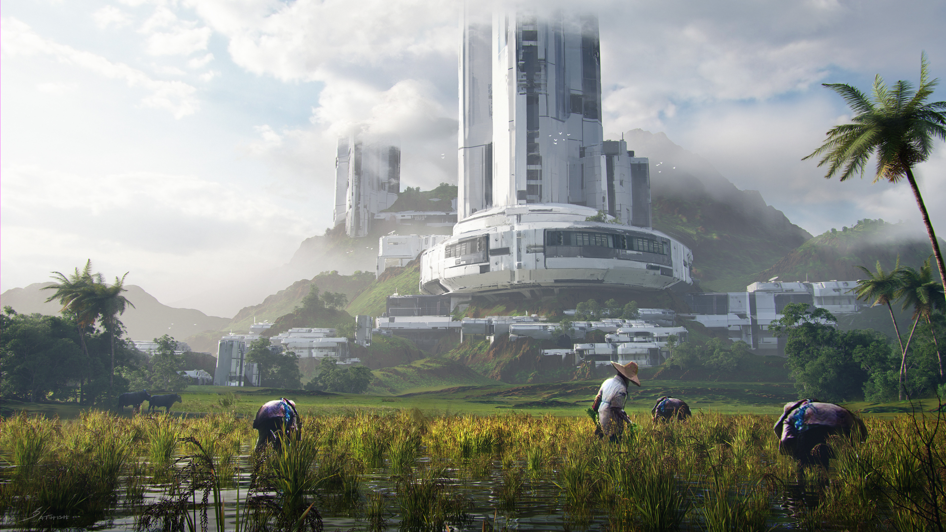 风景