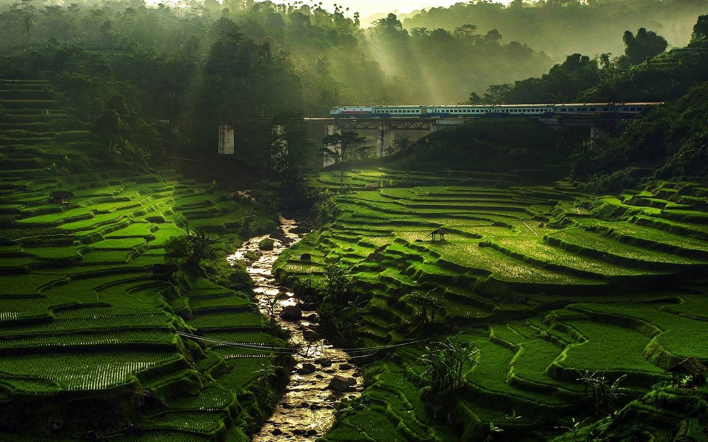 风景
