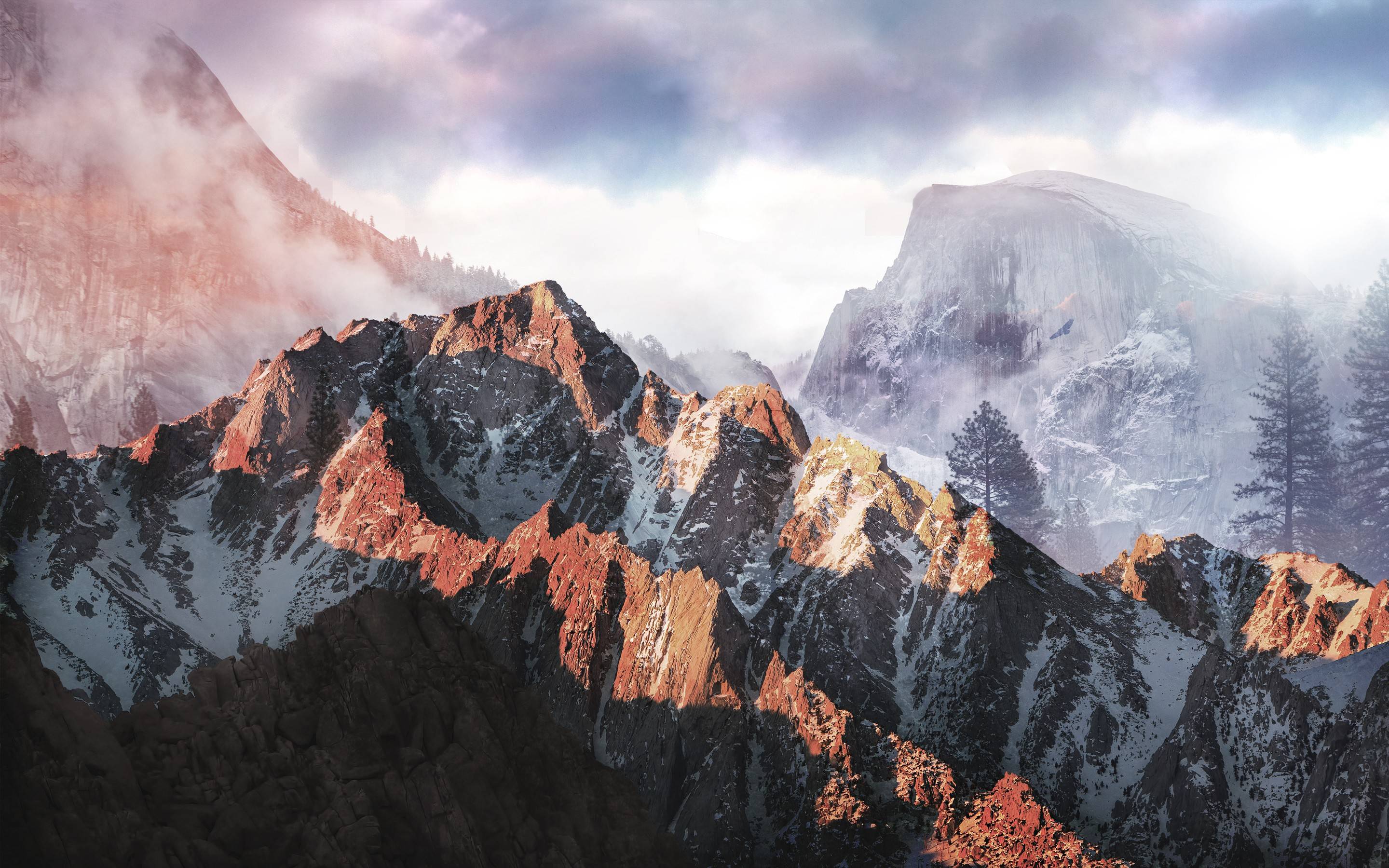 风景