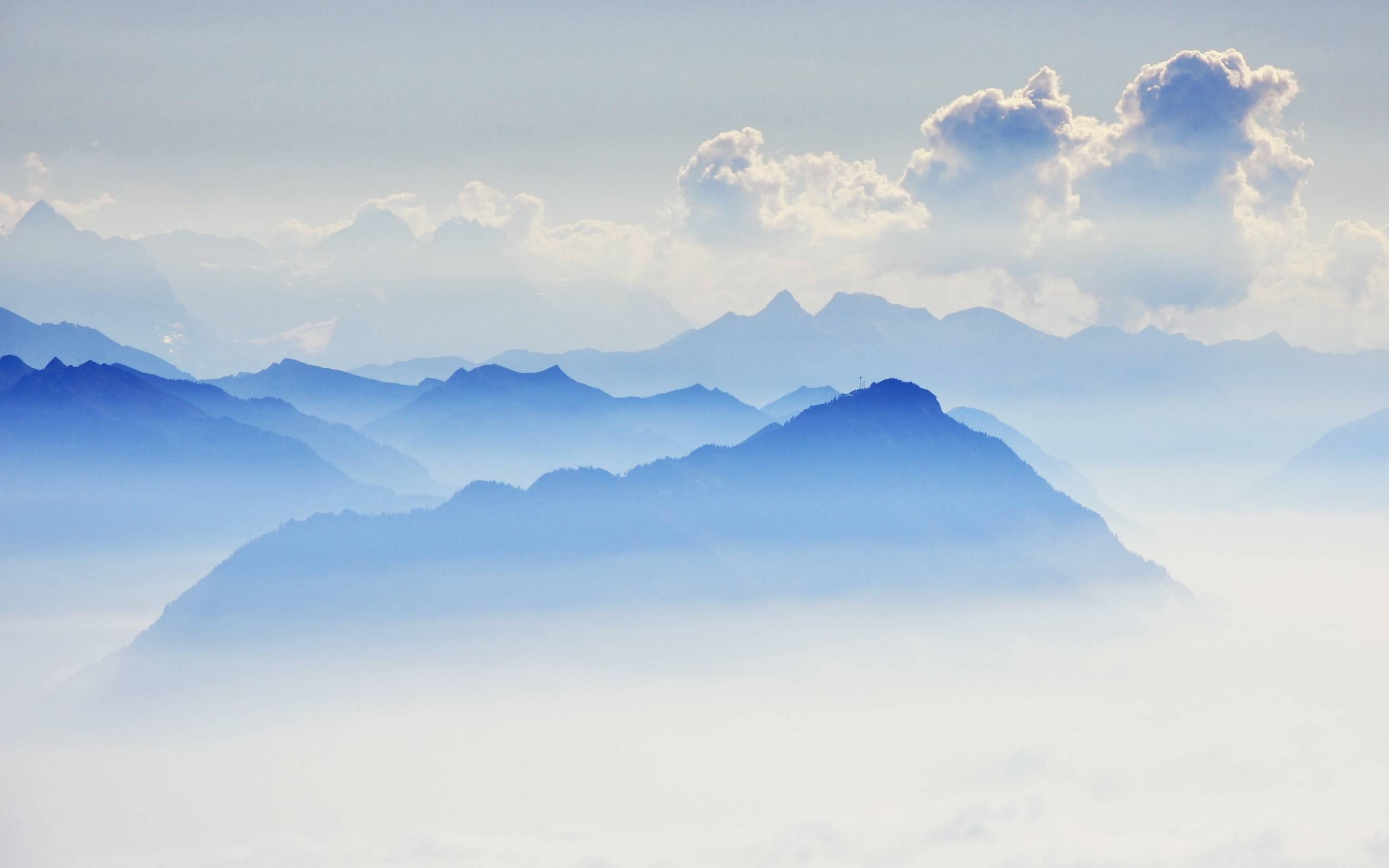 风景