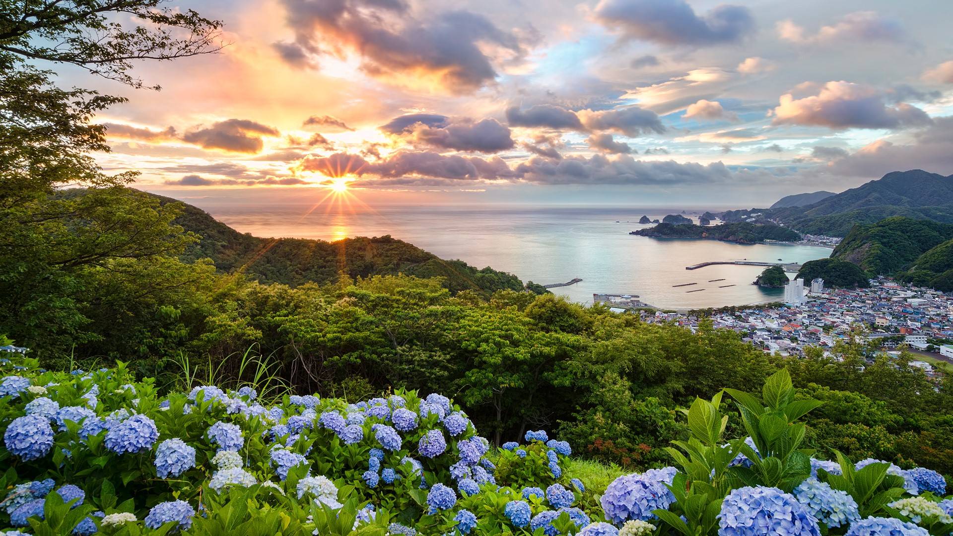 风景