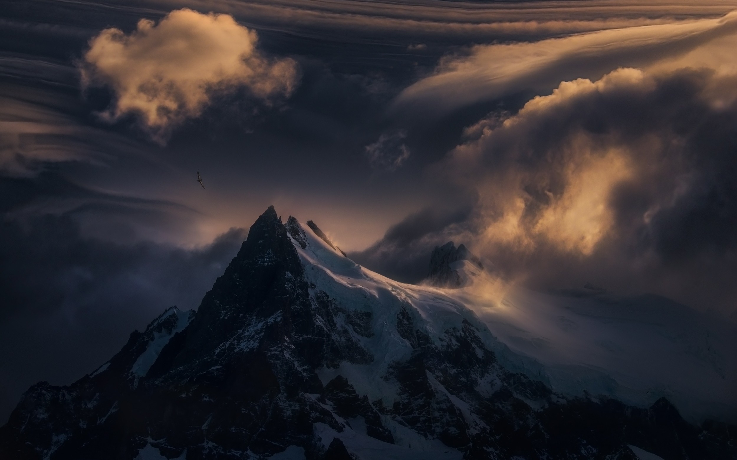 风景