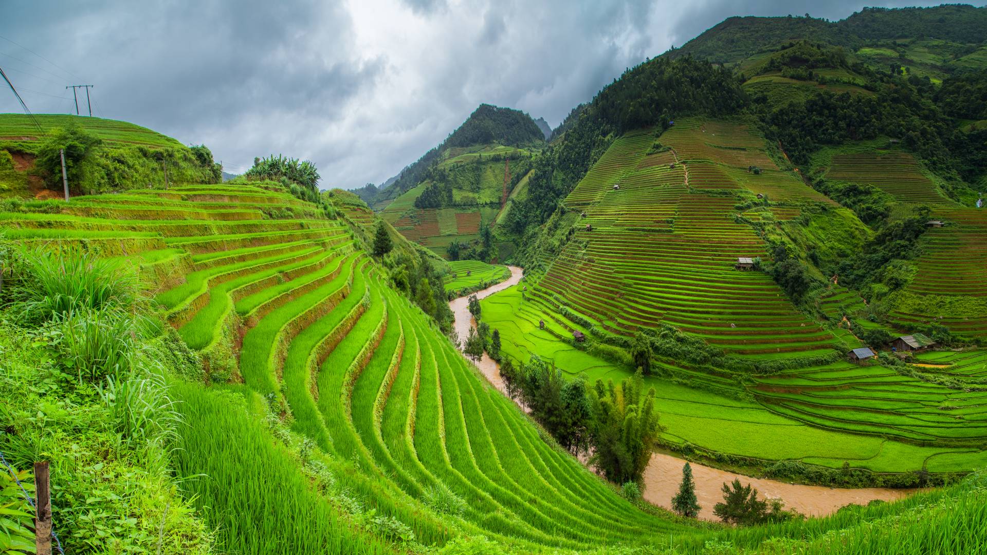 风景