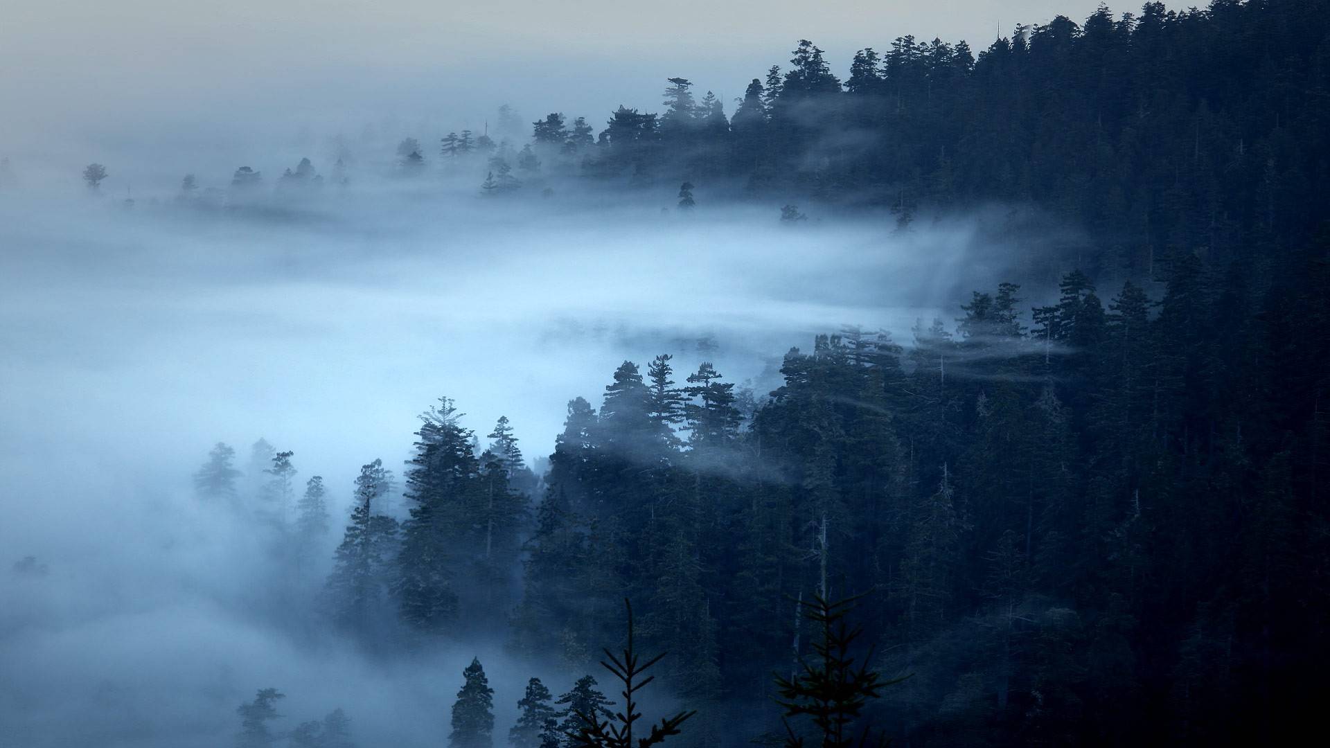 风景