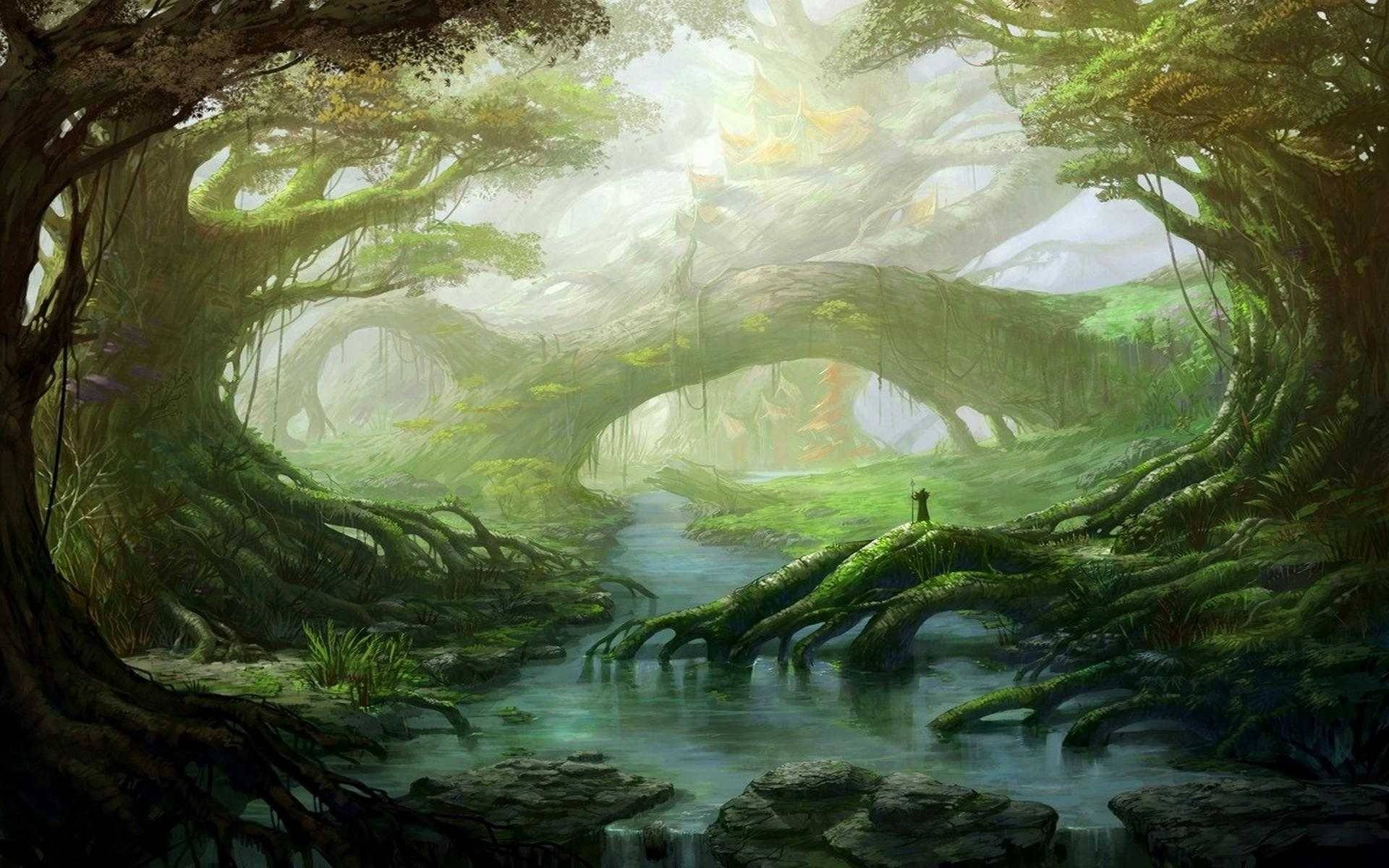 风景