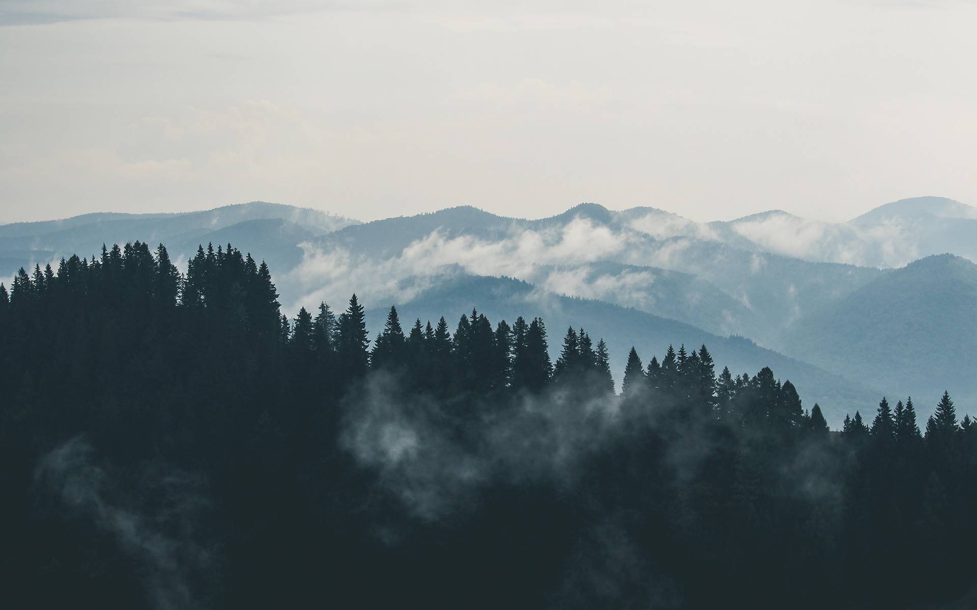风景