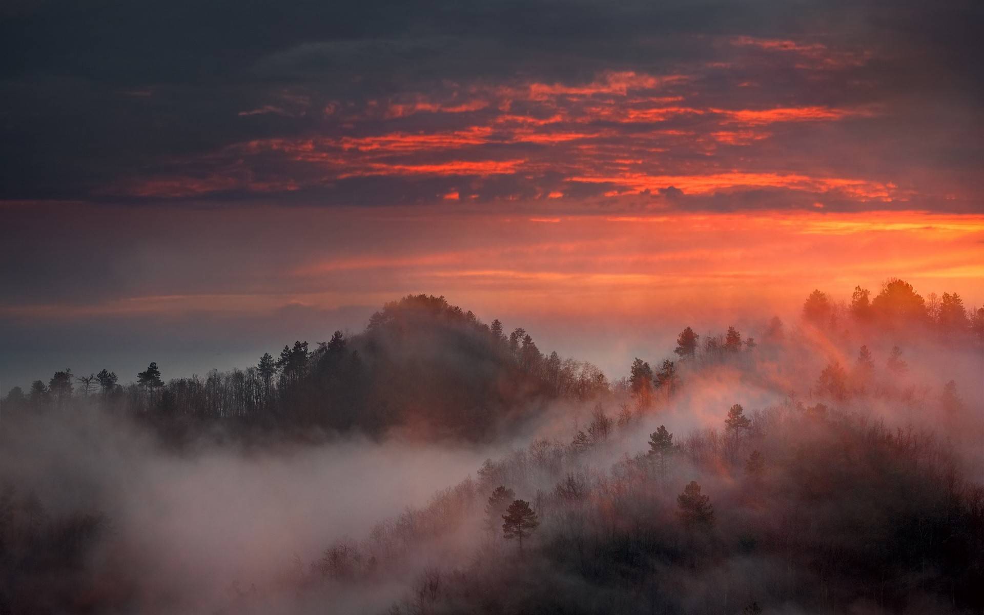 风景