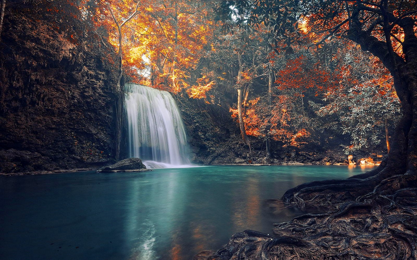 风景