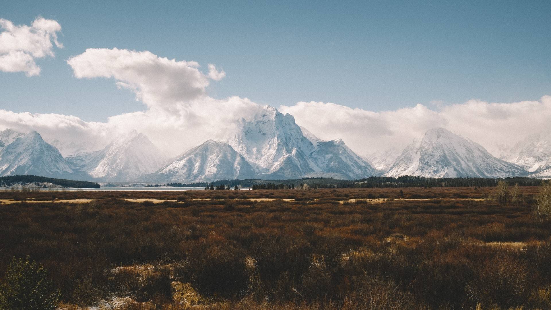 风景