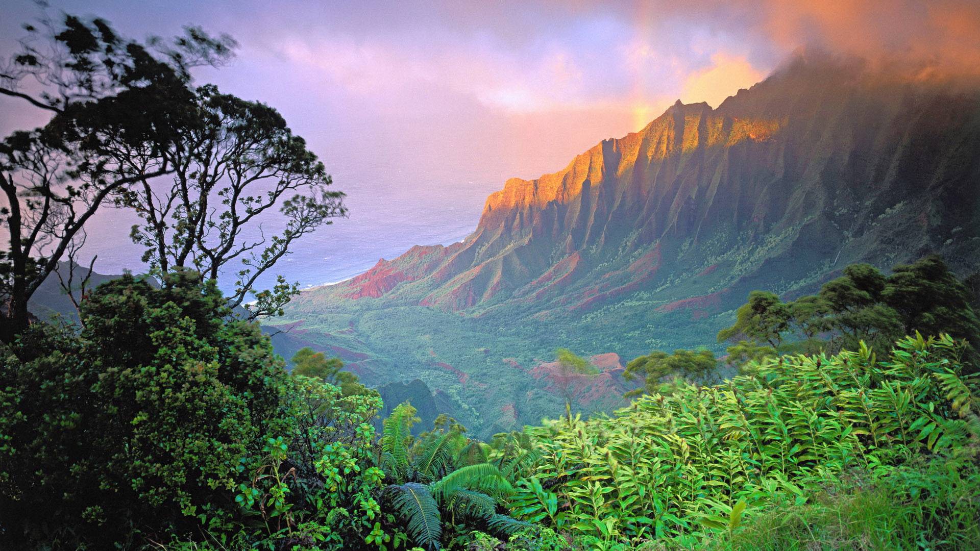 风景