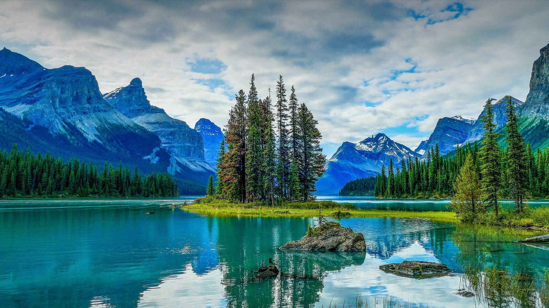风景