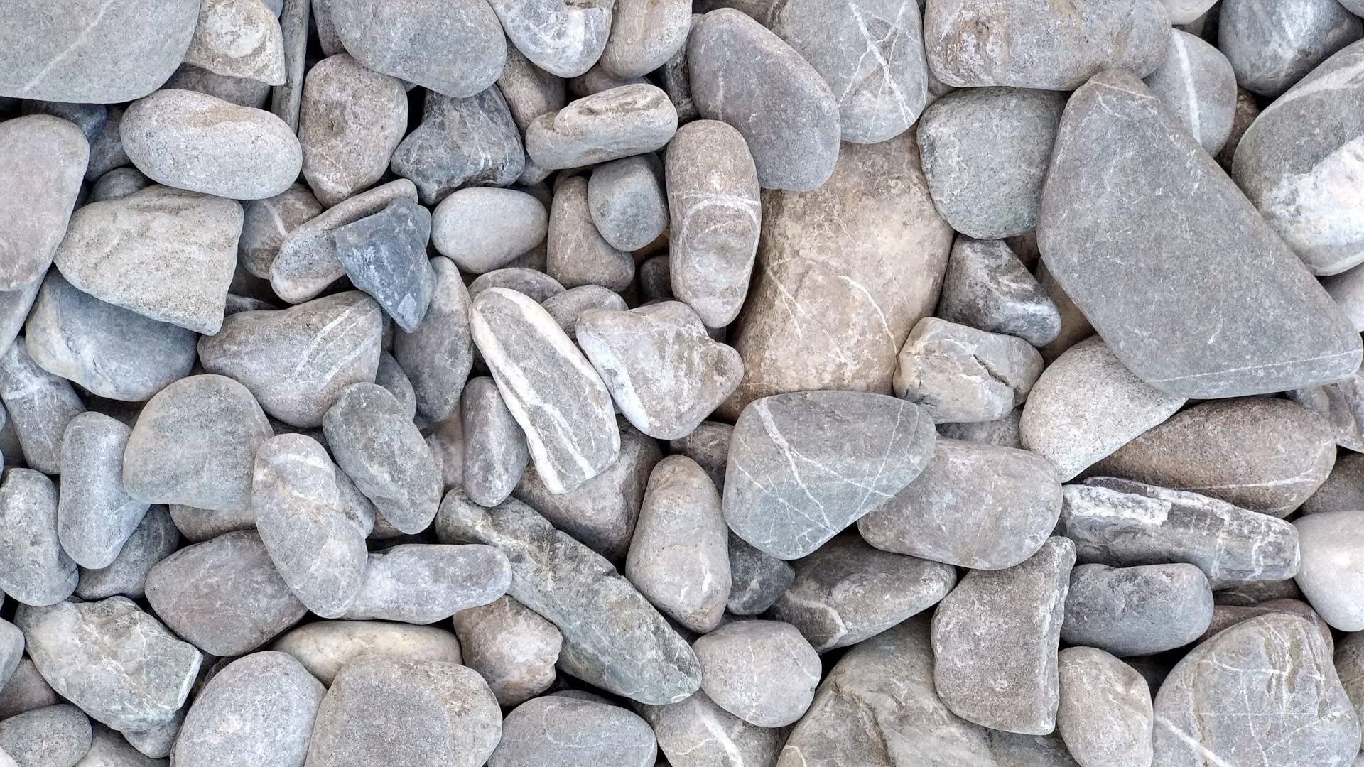 热门