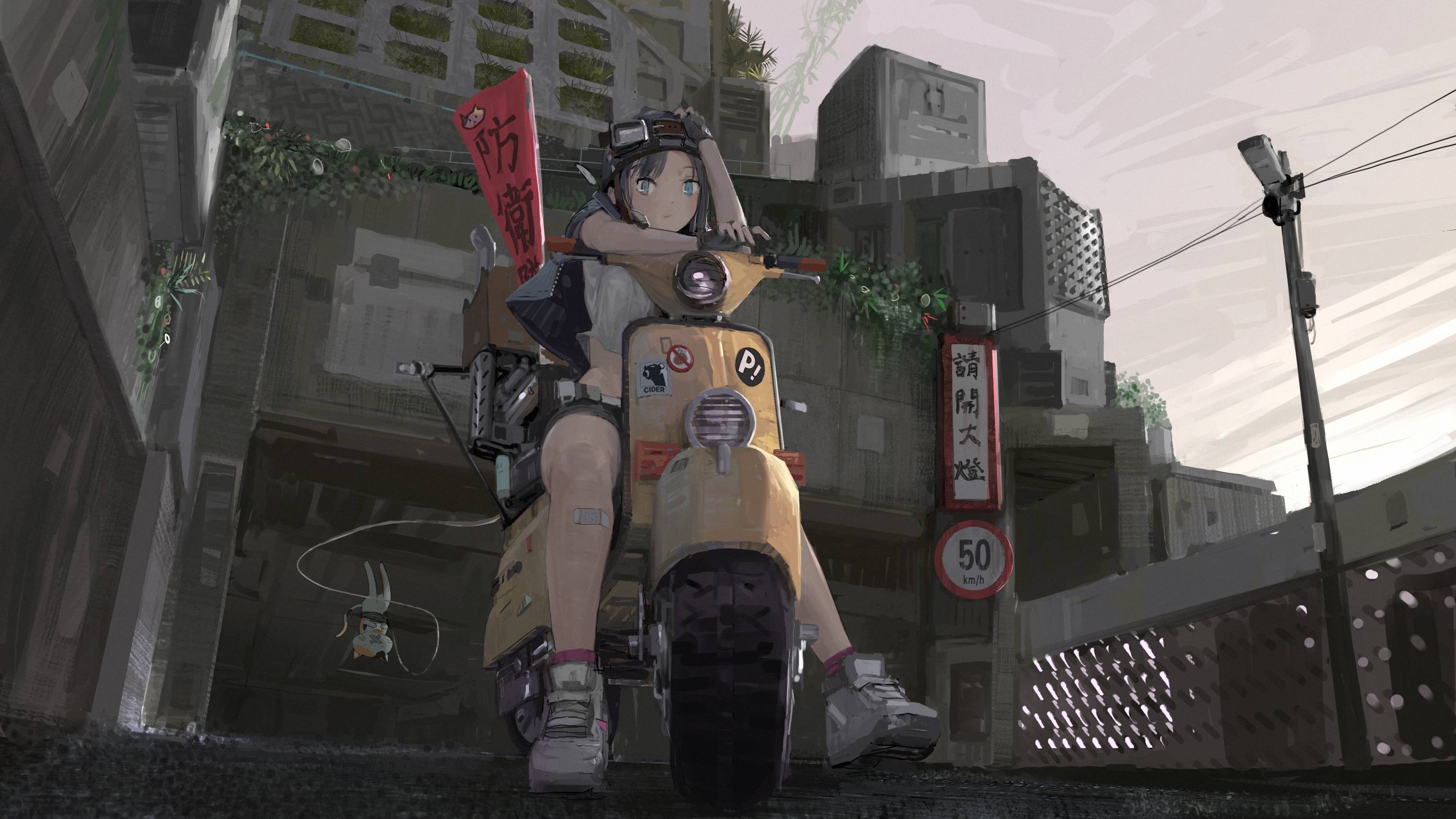 动漫