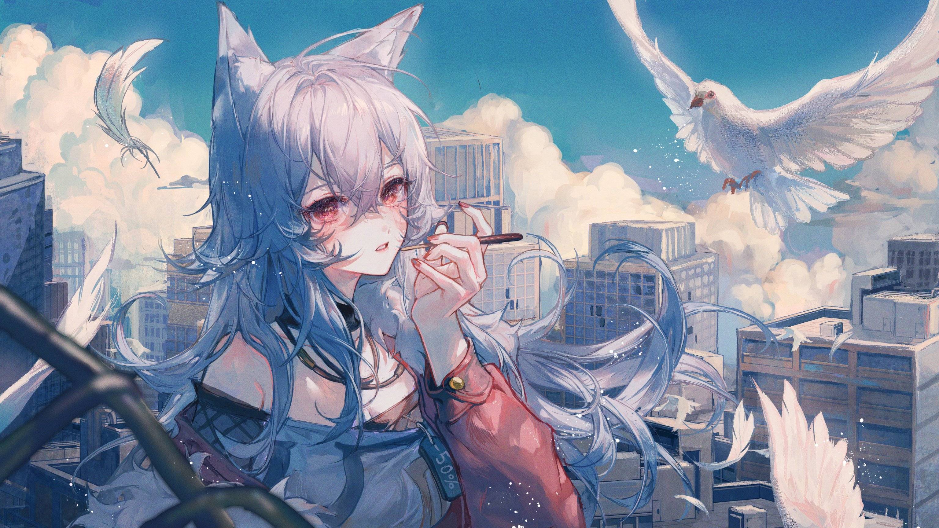 动漫