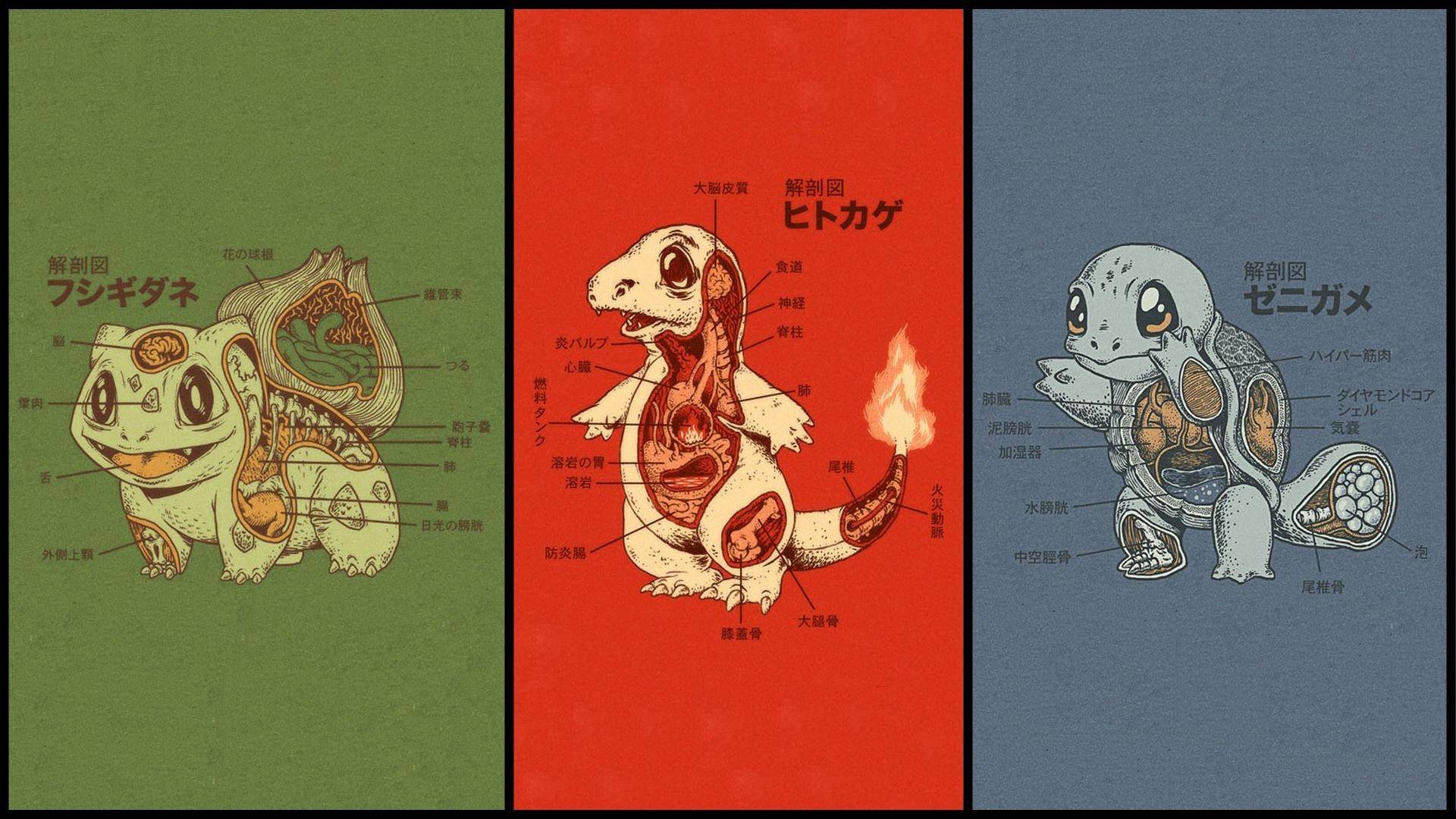 动漫