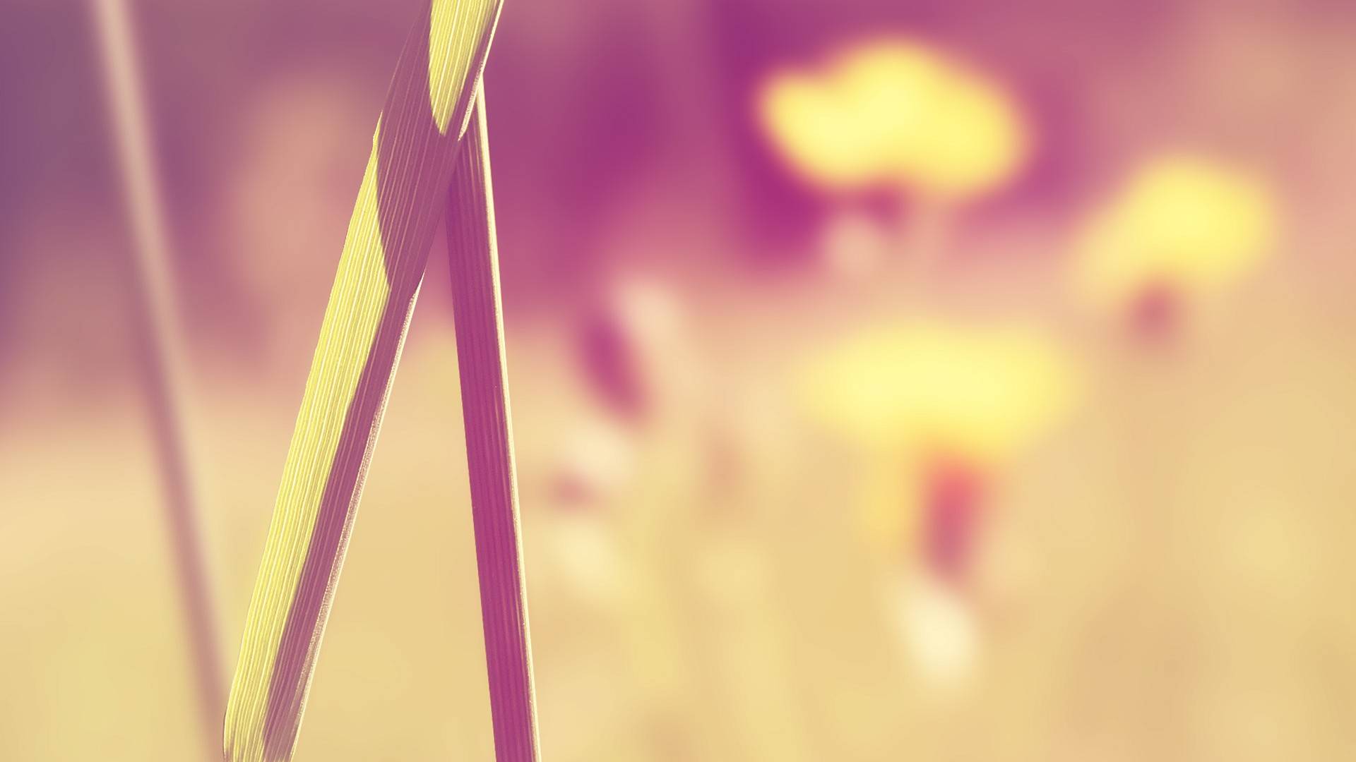 摄影