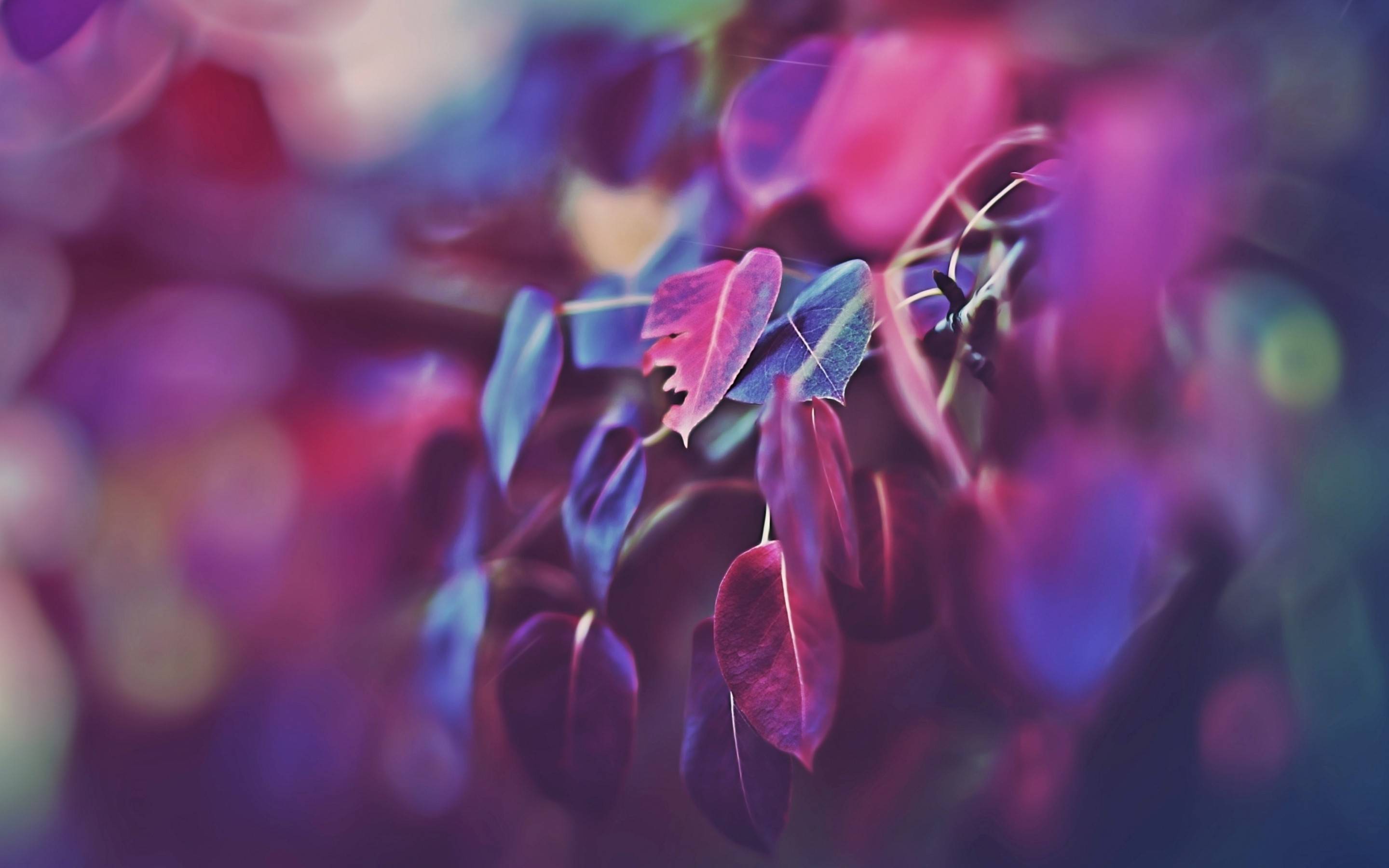摄影